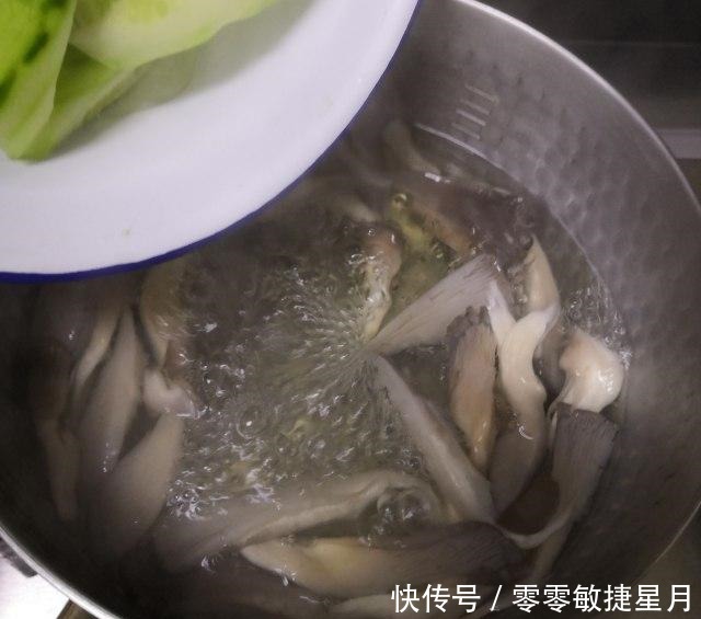 黄瓜平菇鲜汤,简单易做,轻松搞定鲜美靓汤