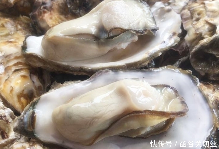 大越|买生蚝,不是越大越好老渔民牢记4点,个个新鲜肥美,不会错