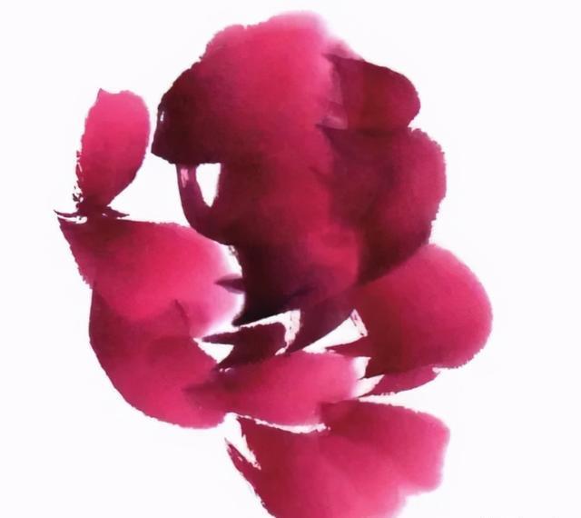 形态|紫、红牡丹花头写意画法与形态参考