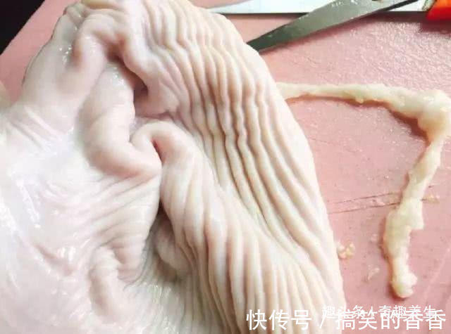 枸杞子|花生加一宝,养胃最厉害,修复胃粘膜,胃不好的人这汤要多喝