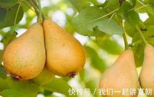 陈医师|每天晚上坚持吃3种食物,减少皱纹,美白皮肤,身体棒棒哒!