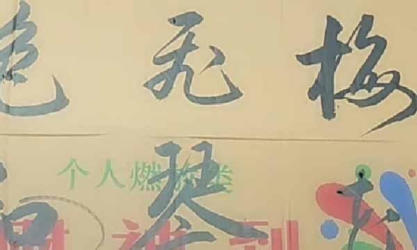 美女&美女利用废旧纸箱练习书法,字迹洒脱飘逸神采飞扬,让书法家汗颜