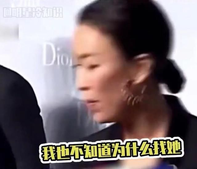 那英 章子怡质疑演员是个最低级的职业,惨遭那英打脸其也曾跨界