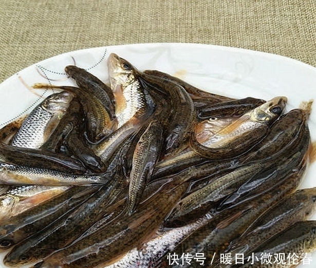 杂鱼|真的可以避免小杂鱼的骚扰吗?一个老钓鱼人的忠告