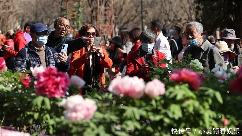 一条街|春城春意浓，西山区赏花正当时