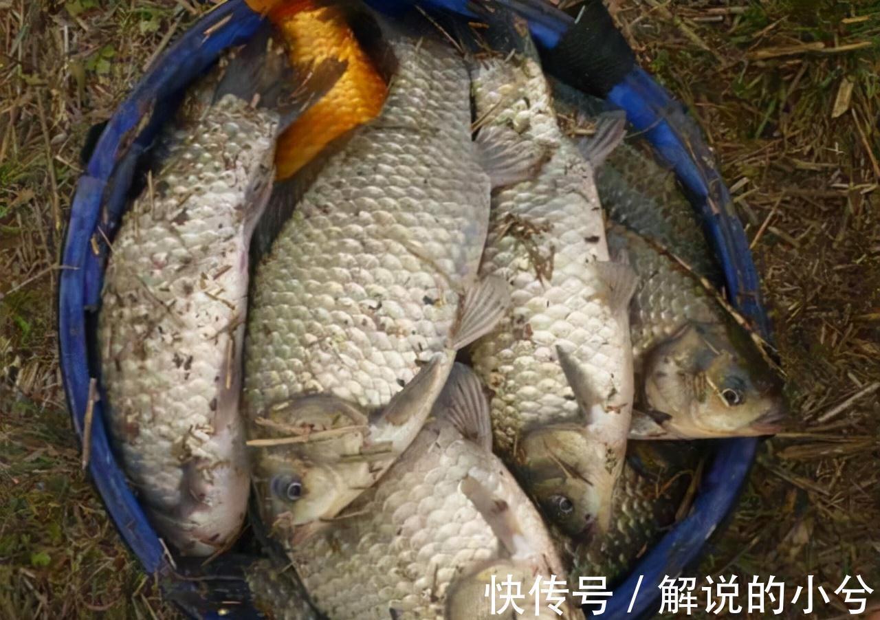 冬季钓鱼,想要有好的鱼获,做到这两点就足够了