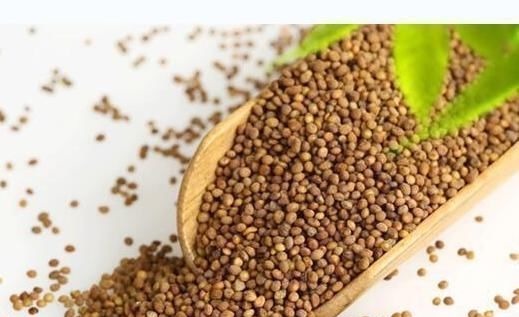 中药|下面腰酸+上面耳鸣=肾虚推荐一味中药,效果令人不可思议