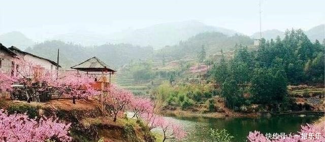表情帝|《向往的生活5》4月23开播,一家子泡脚太温馨,4人堪称表情帝