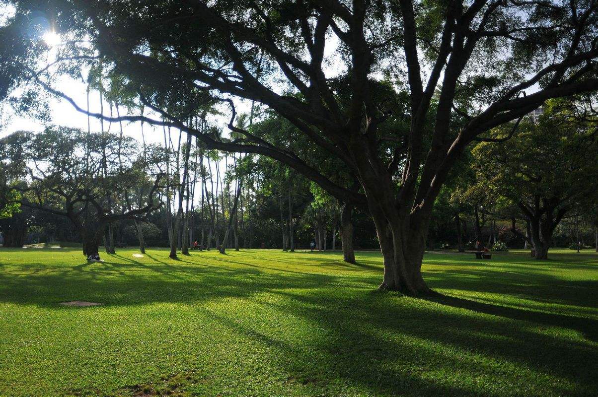 酒桌!“父子不同桌,叔侄不对饮”究竟是什么意思,越早知道越好!