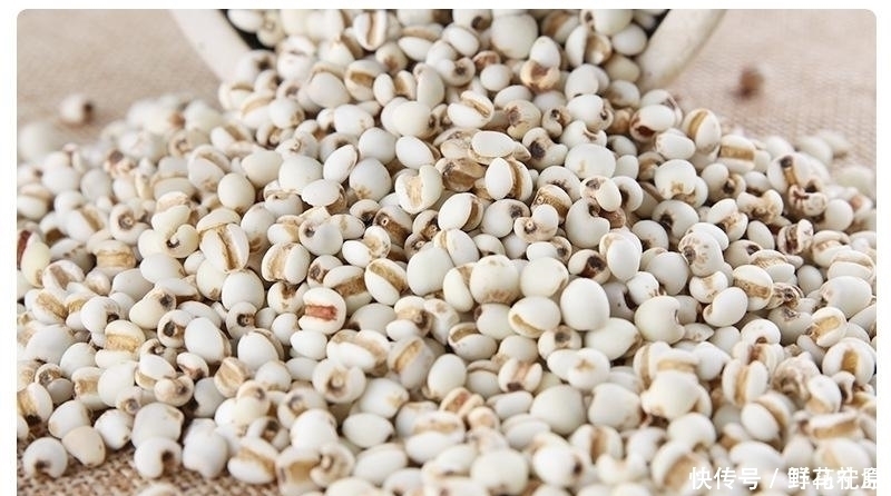 薏米|中医建议:薏米配它,坚持1个月,赶走体内湿气,大肚子也平了