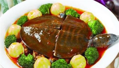 补气血|强身美食，益智健肾，滋阴补气血，肝肾调养食谱，助健康增免疫力