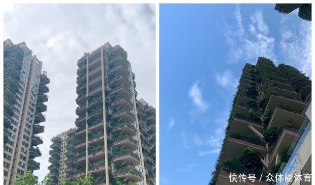 住房|成都第四代住房走红,30层高楼长满树木,每位业主都有私人庭院!