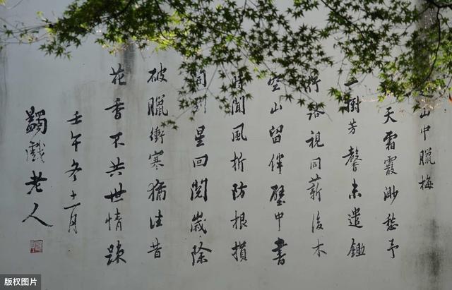 余林|给儿子取名“余林”,医生将出生证打错,宝妈却直欢呼:不改了