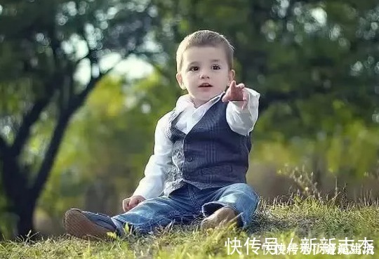 狮子|两个同龄宝宝在小区相遇,体型差距有点大,“小猫”遇上“狮子”