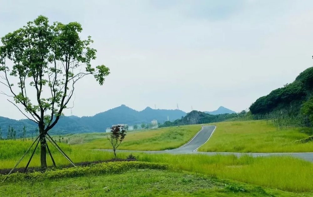 景点|重庆一小众景点，身居盆地却有草原，人称小呼伦贝尔，游客稀少