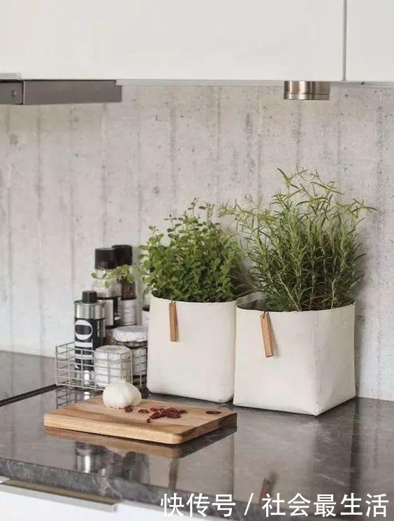 外国人发明的“室内小菜园”,一年四季长爆盆,太神奇了……!