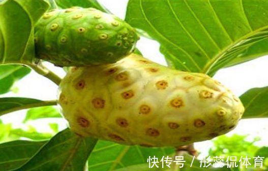 排毒|好食物吃出好身体,常吃3种食物,滋阴补肾,排毒消脂,润肤养颜