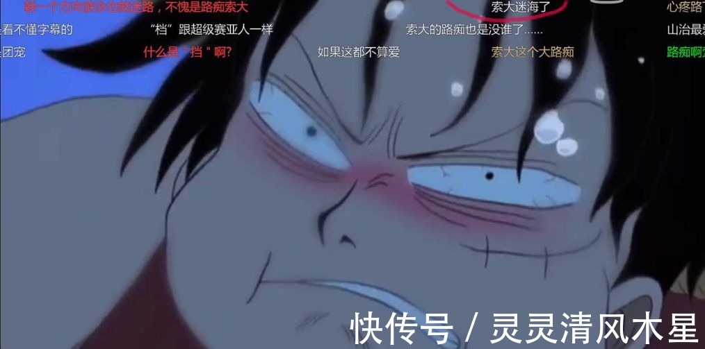 弹幕|“海贼”搞笑弹幕,索隆不仅迷路还迷海,哈士奇上船后果严重