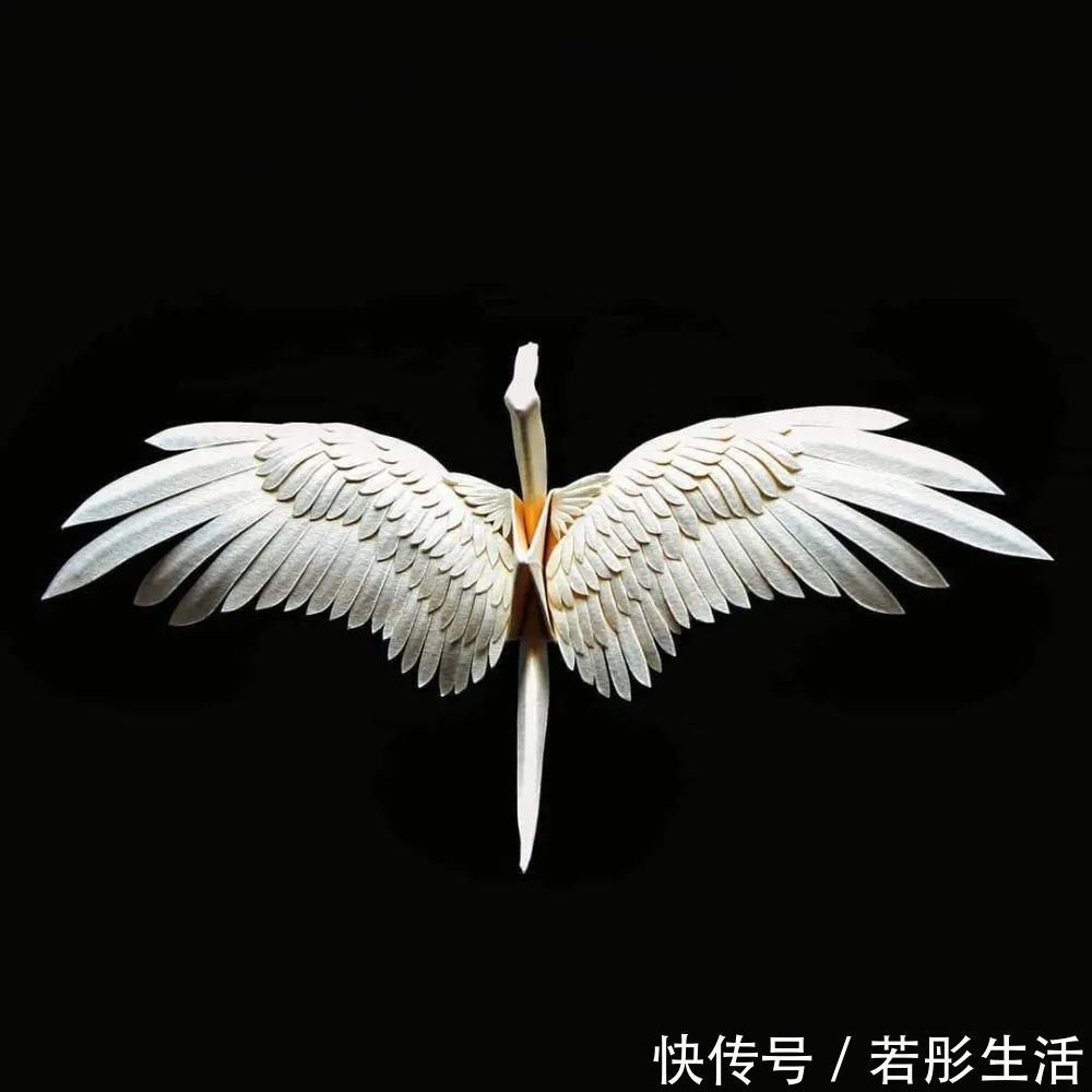 翅膀$抑郁小哥把一只2毛钱的千纸鹤折成了我买不起的样子,不但病好了还年入百万