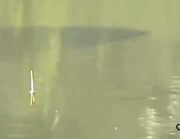 黑影|正在钓鱼,鱼漂边上出现了一条大鱼,就是不咬钩,怎么办呢