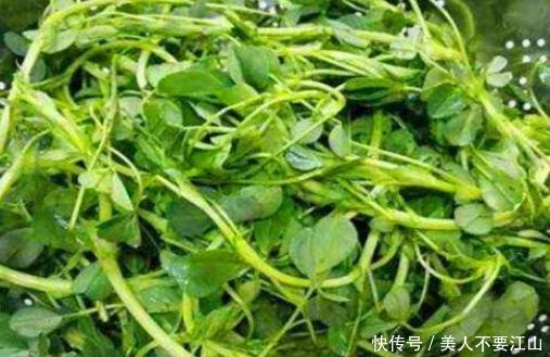 想长寿要先会吃，3种食物不能少，补充营养，身体棒棒哒