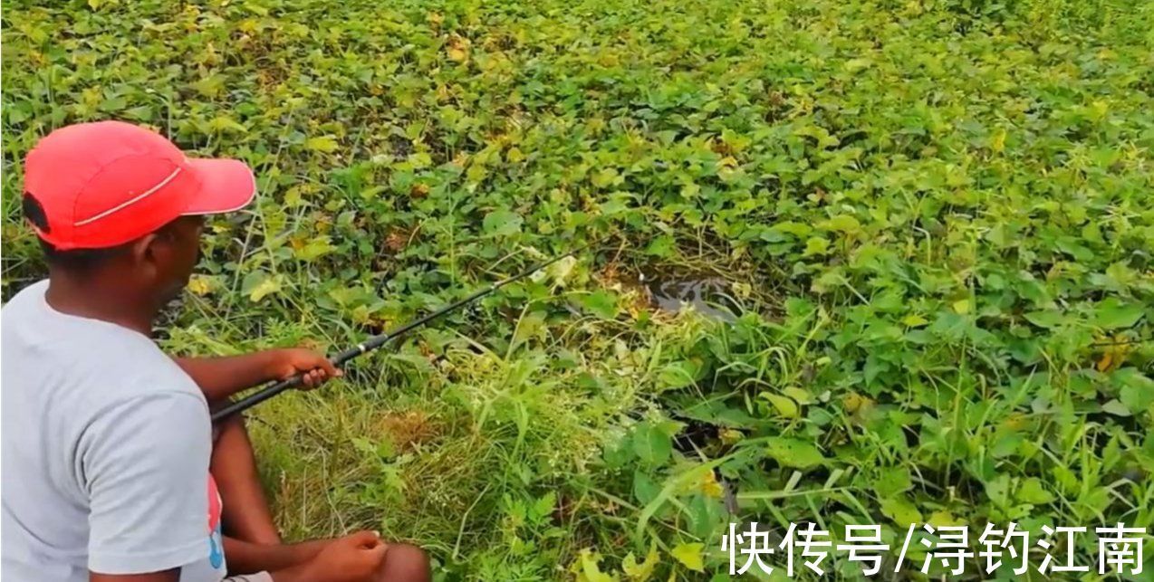 钓位|钓位按这几个思路来找,渔获自然少不了,别不信,高手们都这么做