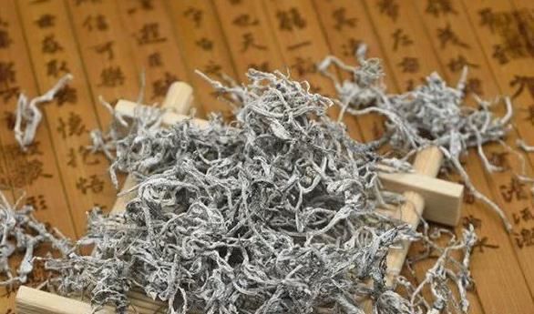 罗布麻茶|被称为“天然阿司匹林”,若能用叶子泡水喝,血栓被哗哗冲走