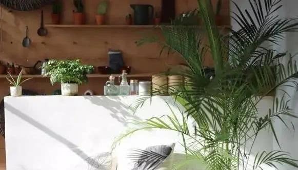 生活|当你还在梦想退休生活的时候,90后已经过上了你想要的田园生活