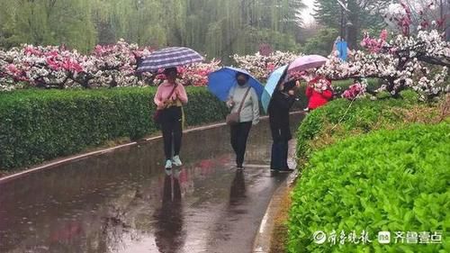 雨中踏青游！清明假期第一天，济南百花公园游客络绎不绝