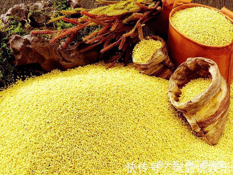 小米粥|喜欢小米粥的要注意小米粥再好,也不能配它吃,当心会中毒!