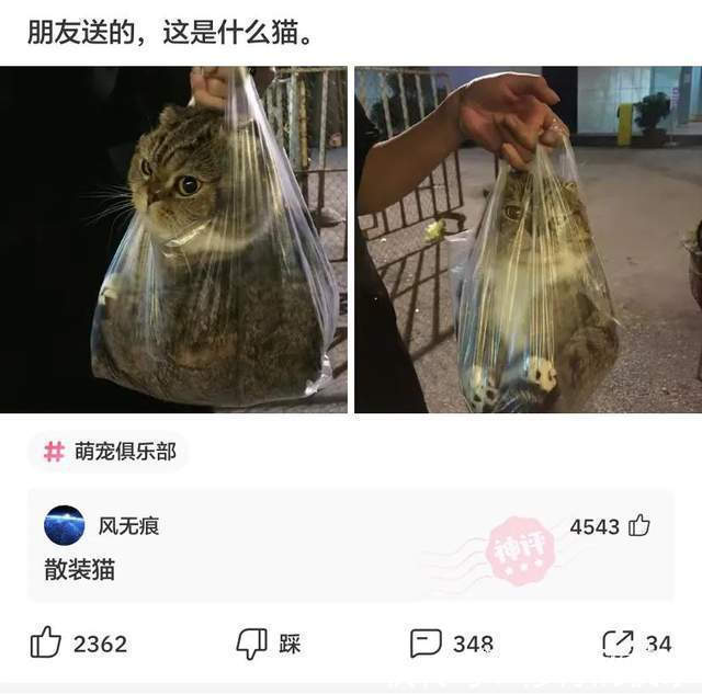 |神评段子合集:看高情商如何回复