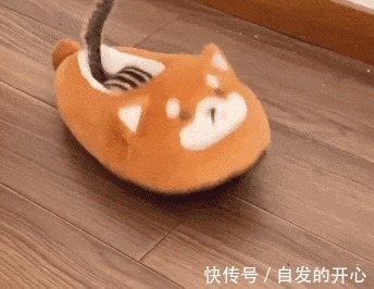 |「被窝段子20220131」生活嘛 慢慢来 所有的好运都在路上