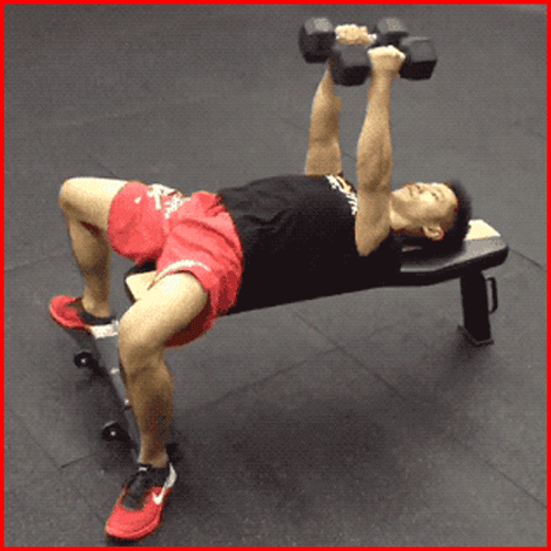 蝴蝶机|健身房训练时间话长短