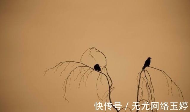 意境$写秋天写得最美的,不是唐诗宋词,而是这首你我皆知的元曲