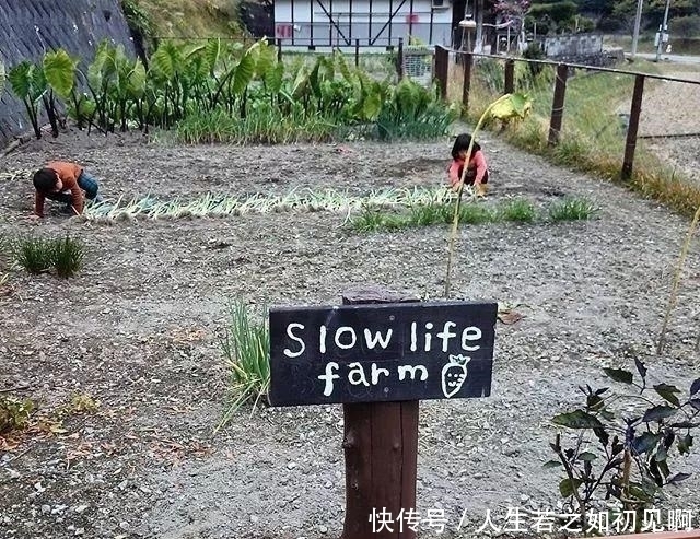 看了这位日本妈妈的日常晒照,一方小院的乡下的生活,令人羡慕