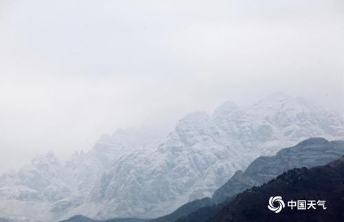 杏花|四川古蔺夜间降雪 虎头山上再现雾凇景观