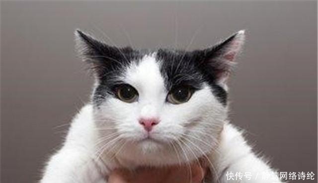 民国女神“林徽因”被人讨厌?追其原因,却是两人有个共同爱好