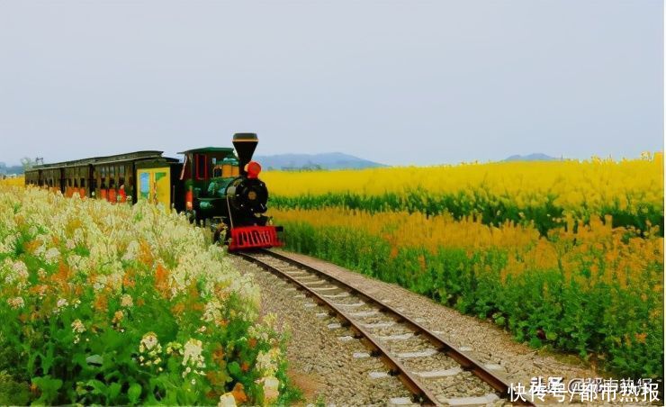 山水|新增1万平米彩色花海迷宫，潼南菜花节26日开幕