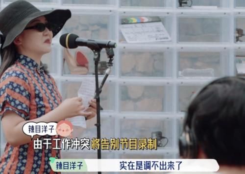 追梦|辣目洋子为了实现演员梦，选择告别《桃花坞》，小人物追梦很艰辛