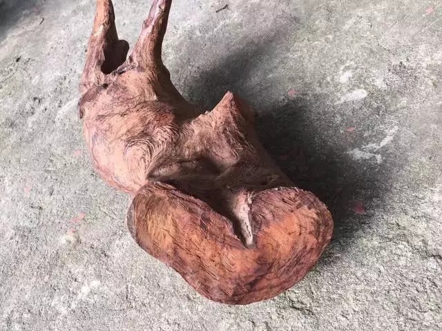  天价|地摊2万买了个木头“猪蹄”，切出天价手串