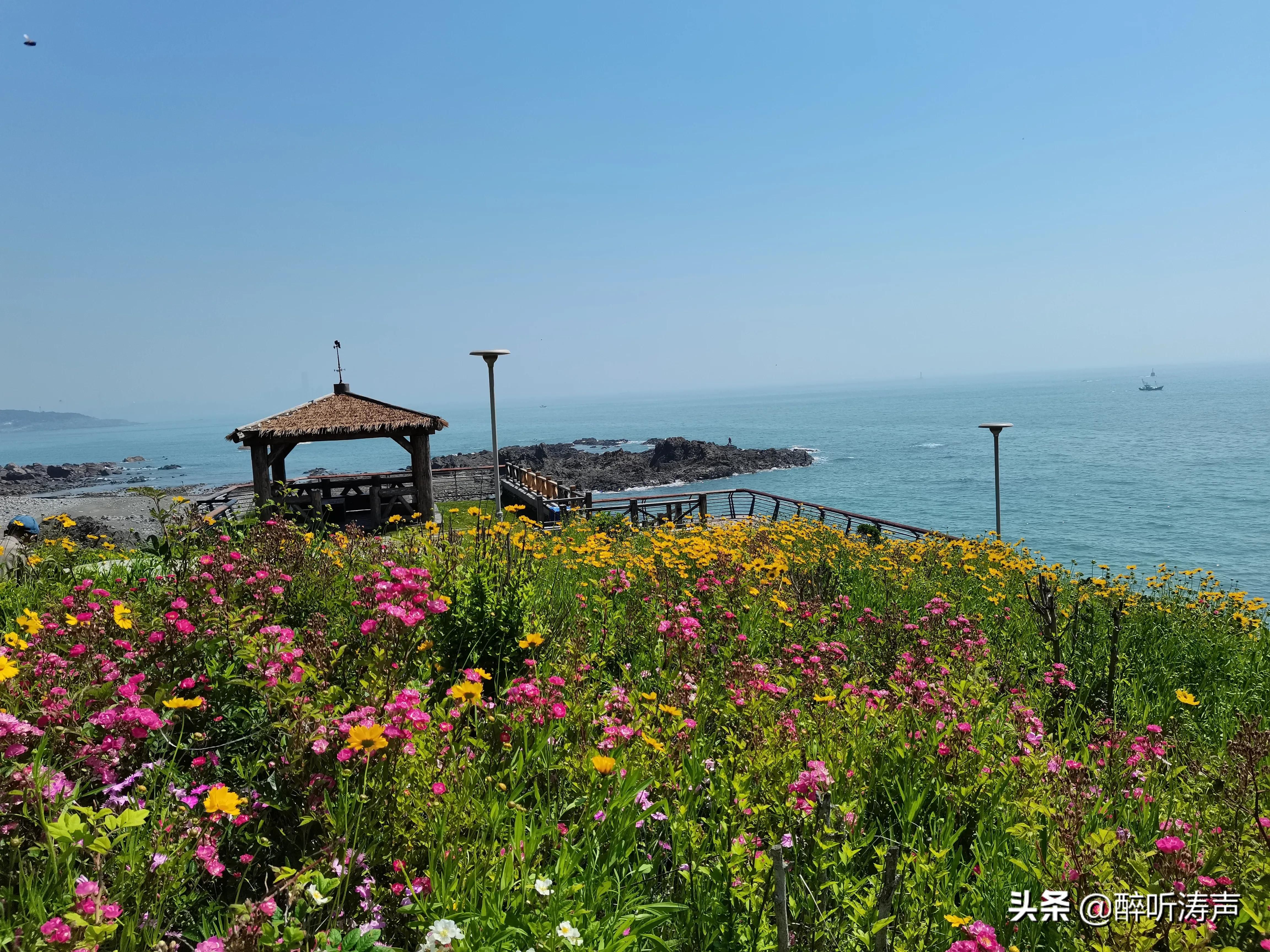 难以形容|天蓝海蓝花海一片片，难以形容的东环岛路之美