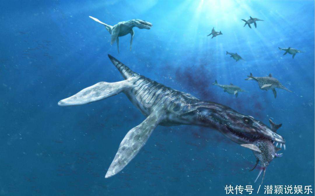 海洋 陆地和海洋是三七分,倘若将其比例互换,结果会如何