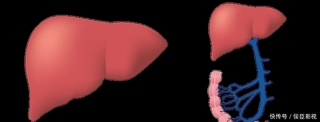 肝脏|三位院士宣告：肝病怕1种“零食”，平时吃些，肝功正常，气色好