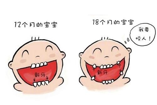 顺序|图解宝宝长牙时症状和顺序,你的宝宝掉队了吗?