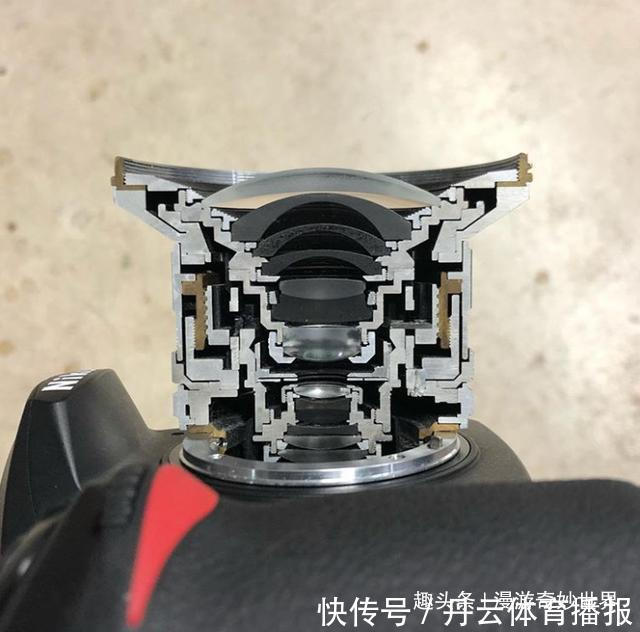 鹦鹉螺&这些东西内部长啥样?25张照片揭示日常事物看不见的一面!