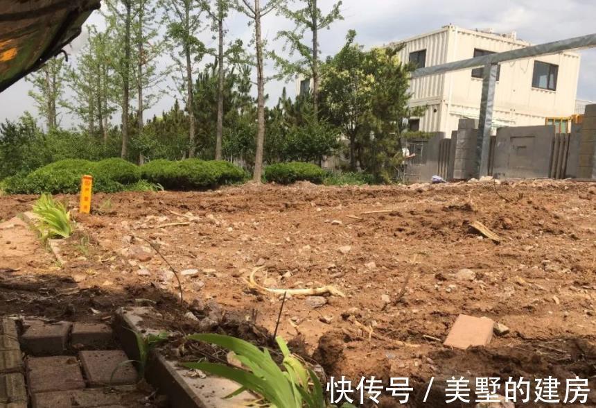 腐殖质|绿化带里的这种土是养花“极品土”,走过路过不能错过!