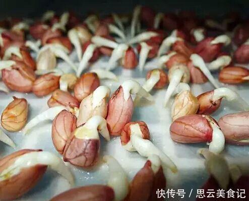 发芽“花生”扔水里,几天长成“含羞草”,越养越有惊喜