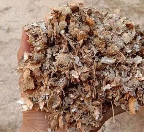 4种垃圾不会分类别担心,埋在花盆底,叶子绿得直滴油!