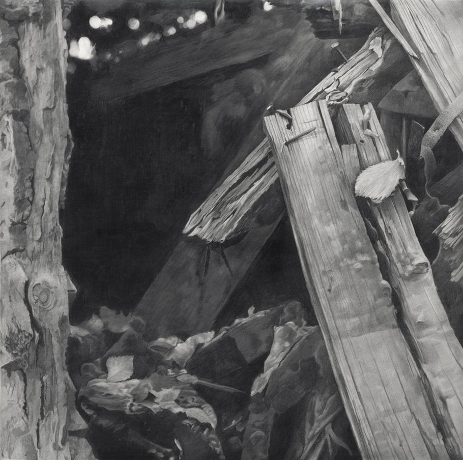 丹尼斯!乌克兰画家谢尔诺夫细致入微的美女、风景铅笔画