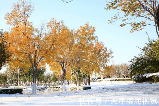 咏冰颂雪$咏冰颂雪迎冬奥